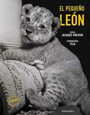 El pequeño león | 9788413433790 | Prévert, Jacques | Librería Castillón - Comprar libros online Aragón, Barbastro