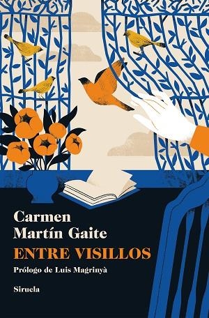 Entre visillos | 9788410415317 | Martín Gaite, Carmen | Librería Castillón - Comprar libros online Aragón, Barbastro