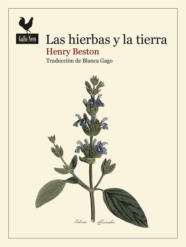 Las hierbas y la tierra | 9788419168740 | Beston, Henry | Librería Castillón - Comprar libros online Aragón, Barbastro