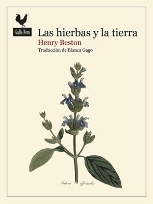 Las hierbas y la tierra | 9788419168740 | Beston, Henry | Librería Castillón - Comprar libros online Aragón, Barbastro