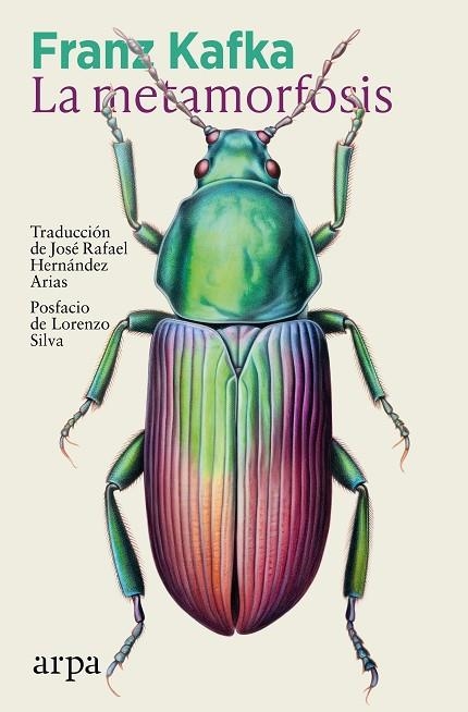 La metamorfosis | 9791387833138 | Kafka, Franz | Librería Castillón - Comprar libros online Aragón, Barbastro