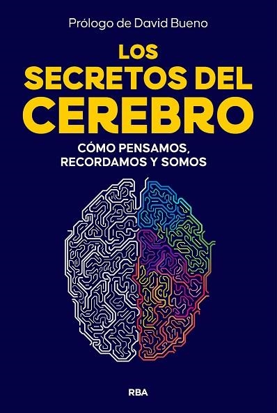 Los secretos del cerebro | 9788410981249 | Librería Castillón - Comprar libros online Aragón, Barbastro