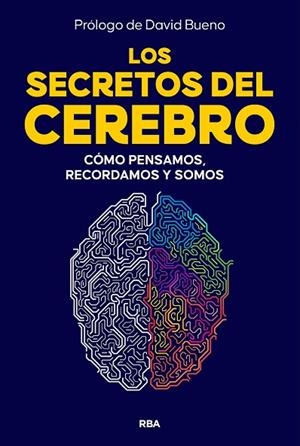 Los secretos del cerebro | 9788410981249 | Librería Castillón - Comprar libros online Aragón, Barbastro