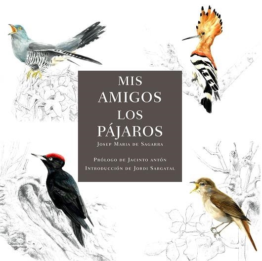 Mis amigos los pájaros | 9788412949032 | de Sagarra, Josep Maria | Librería Castillón - Comprar libros online Aragón, Barbastro