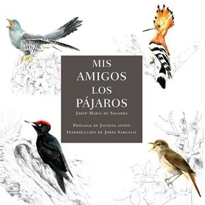 Mis amigos los pájaros | 9788412949032 | de Sagarra, Josep Maria | Librería Castillón - Comprar libros online Aragón, Barbastro