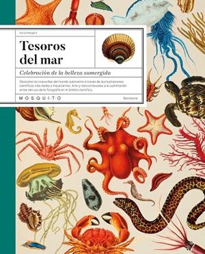 Tesoros del mar | 9788419095749 | Margarit, Núria | Librería Castillón - Comprar libros online Aragón, Barbastro