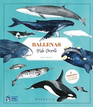 Ballenas. Vida secreta (3ª edición con póster coloreable) | 9788410417151 | Ortega, Rena | Librería Castillón - Comprar libros online Aragón, Barbastro