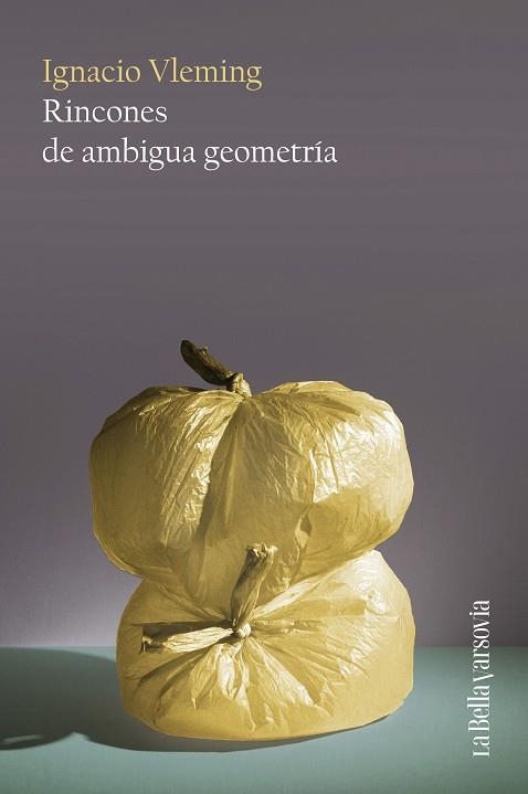 Rincones de ambigua geometría | 9788433929402 | Vleming, Ignacio | Librería Castillón - Comprar libros online Aragón, Barbastro