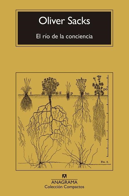 El río de la conciencia | 9788433946867 | Sacks, Oliver | Librería Castillón - Comprar libros online Aragón, Barbastro