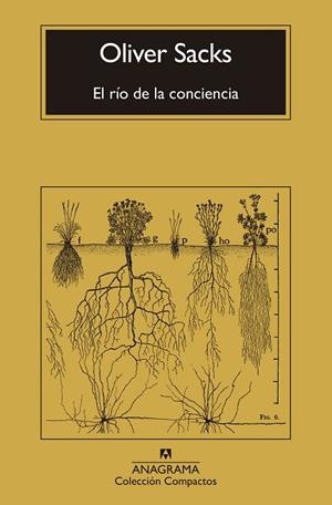 El río de la conciencia | 9788433946867 | Sacks, Oliver | Librería Castillón - Comprar libros online Aragón, Barbastro