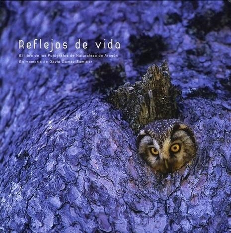 REFLEJOS DE VIDA : FOTOGRAFOS NATURALEZA ARAGON | 9788483212080 | FOTOGRAFOS DE NATURALEZA DE ARAGON | Librería Castillón - Comprar libros online Aragón, Barbastro