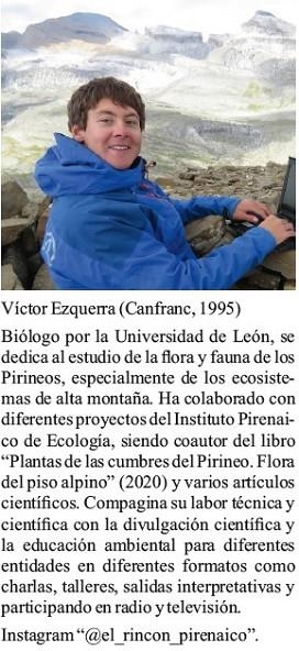 DRYAS / LA FLOR QUE VIVE EN LO ALTO DEL PIRINEO | 9791387825140 | Librería Castillón - Comprar libros online Aragón, Barbastro