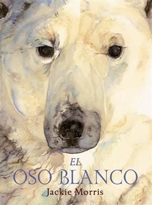 El oso blanco | 9788489825741 | Morris, Jackie | Librería Castillón - Comprar libros online Aragón, Barbastro