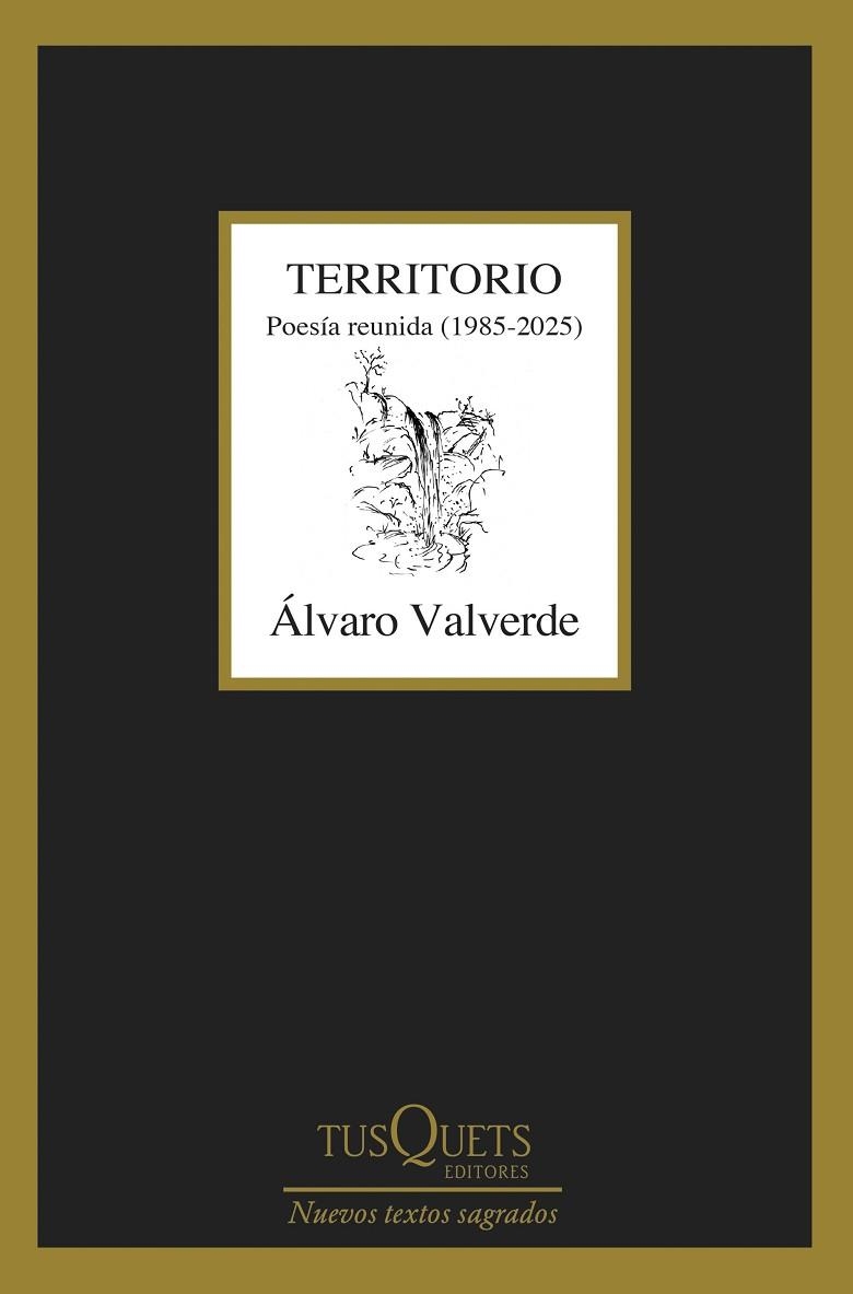 Territorio. Poesía reunida (1985-2025) | 9788411077361 | Valverde, Álvaro | Librería Castillón - Comprar libros online Aragón, Barbastro