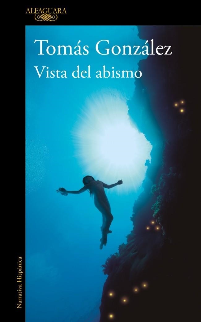 Vista del abismo | 9788410299443 | González, Tomás | Librería Castillón - Comprar libros online Aragón, Barbastro