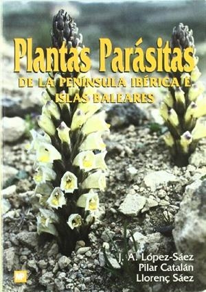 BIOCOMBUSTIBLES, LOS | 9788484760177 | CAMPS MICHELENA, M.; MARCOS, F. | Librería Castillón - Comprar libros online Aragón, Barbastro