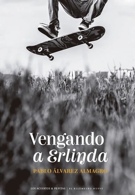 Vengando a Erlinda | 9788419689351 | Álvarez Almagro, Pablo | Librería Castillón - Comprar libros online Aragón, Barbastro