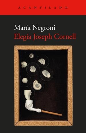 Elegía Joseph Cornell | 9791387964122 | Negroni, María | Librería Castillón - Comprar libros online Aragón, Barbastro
