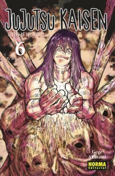 Jujutsu Kaisen 06 (nuevo Pvp) | 9788467961164 | Gege Akutami | Librería Castillón - Comprar libros online Aragón, Barbastro
