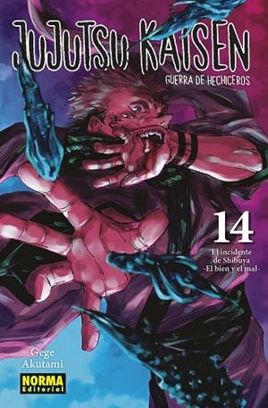 Jujutsu Kaisen 14 (nuevo Pvp) | 9788467966909 | Akutami, Gege | Librería Castillón - Comprar libros online Aragón, Barbastro