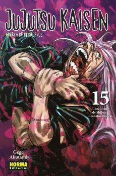 Jujutsu Kaisen 15 (nuevo Pvp) | 9788467973792 | Akutami, Gege | Librería Castillón - Comprar libros online Aragón, Barbastro