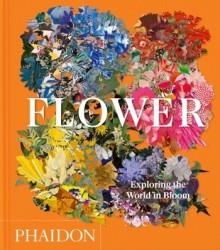 FLOWER Compact Edition | 9781837291458 | Librería Castillón - Comprar libros online Aragón, Barbastro