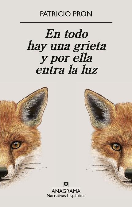 En todo hay una grieta y por ella entra la luz | 9788433949158 | Pron, Patricio | Librería Castillón - Comprar libros online Aragón, Barbastro