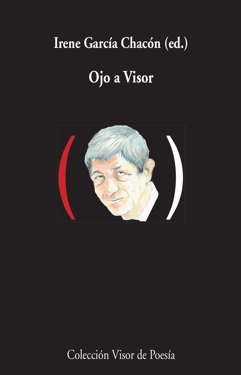 Ojo a Visor | 9788498959000 | García Chacón, Irene | Librería Castillón - Comprar libros online Aragón, Barbastro