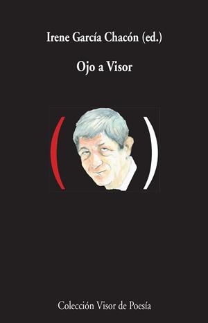 Ojo a Visor | 9788498959000 | García Chacón, Irene | Librería Castillón - Comprar libros online Aragón, Barbastro