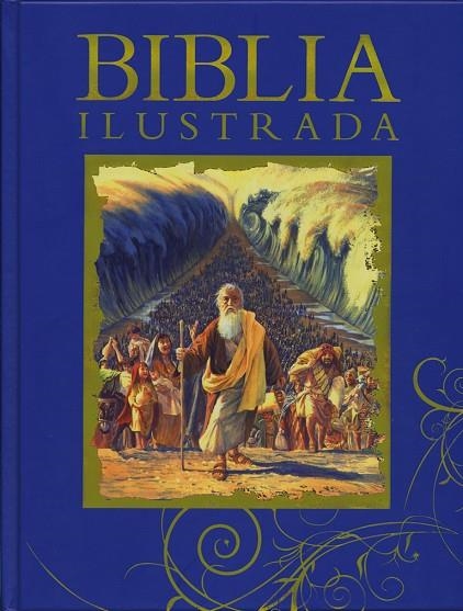 Biblia ilustrada | 9788428558136 | Dorling Kindersley | Librería Castillón - Comprar libros online Aragón, Barbastro
