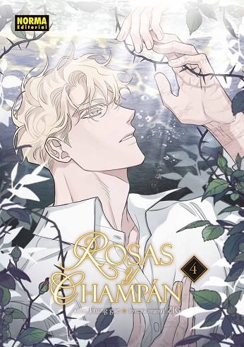 ROSAS Y CHAMPAN 04 | 9788467981889 | TTUNG GAE/ZIG | Librería Castillón - Comprar libros online Aragón, Barbastro