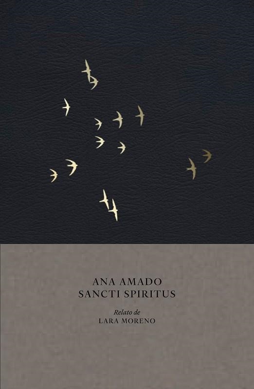 Sancti Spíritus. | 9788410024748 | Amado, Ana | Librería Castillón - Comprar libros online Aragón, Barbastro