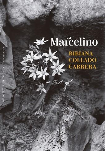 Marcelino | 9788410476431 | Collado Cabrera, Bibiana | Librería Castillón - Comprar libros online Aragón, Barbastro