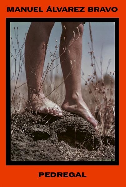 Manuel Álvarez Bravo. Pedregal | 9788410290556 | Álvarez Bravo, Manuel | Librería Castillón - Comprar libros online Aragón, Barbastro