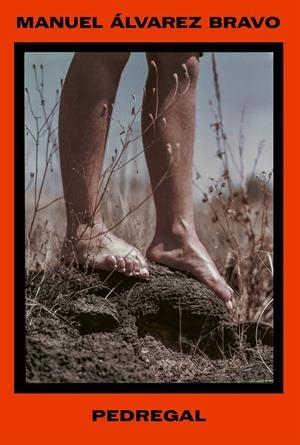 Manuel Álvarez Bravo. Pedregal | 9788410290556 | Álvarez Bravo, Manuel | Librería Castillón - Comprar libros online Aragón, Barbastro