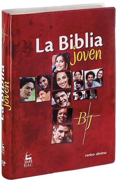 La Biblia joven | 9788490732960 | Desconocido | Librería Castillón - Comprar libros online Aragón, Barbastro