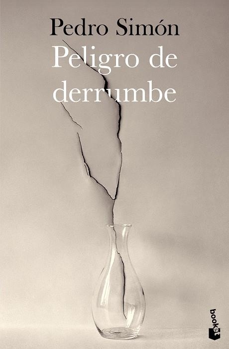 Peligro de derrumbe | 9788467081183 | Pedro Simón | Librería Castillón - Comprar libros online Aragón, Barbastro