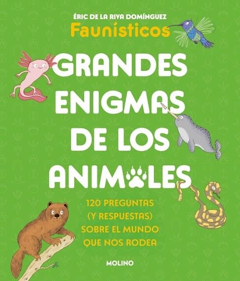 Grandes enigmas de los animales (Colección Grandes enigmas) | 9788427253698 | de la Riva Domínguez (Faunísticos), Éric | Librería Castillón - Comprar libros online Aragón, Barbastro