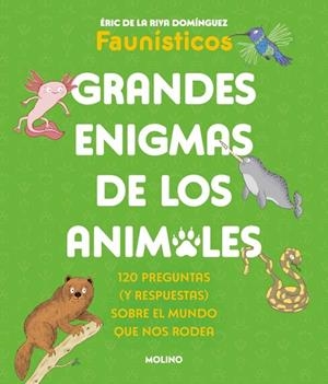 Grandes enigmas de los animales (Colección Grandes enigmas) | 9788427253698 | de la Riva Domínguez (Faunísticos), Éric | Librería Castillón - Comprar libros online Aragón, Barbastro