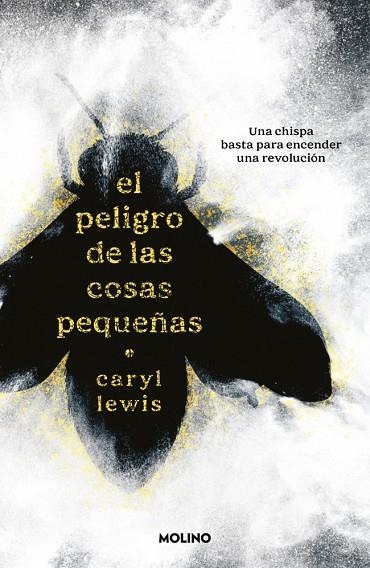 El peligro de las cosas pequeñas | 9788427251755 | Lewis, Caryl | Librería Castillón - Comprar libros online Aragón, Barbastro