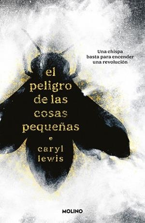 El peligro de las cosas pequeñas | 9788427251755 | Lewis, Caryl | Librería Castillón - Comprar libros online Aragón, Barbastro