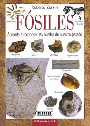 Fósiles | 9788430533527 | Zorzin, Roberto | Librería Castillón - Comprar libros online Aragón, Barbastro