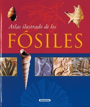 Fósiles | 9788430548712 | Librería Castillón - Comprar libros online Aragón, Barbastro