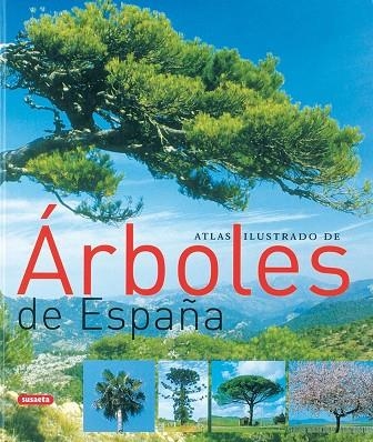 Árboles de España | 9788430558445 | Librería Castillón - Comprar libros online Aragón, Barbastro