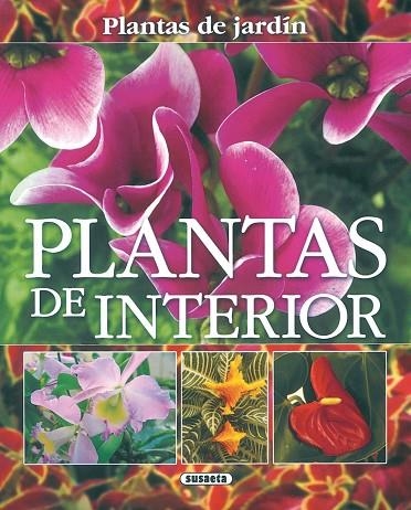 Plantas de interior | 9788430556892 | Alonso de la Paz, Francisco Javier | Librería Castillón - Comprar libros online Aragón, Barbastro