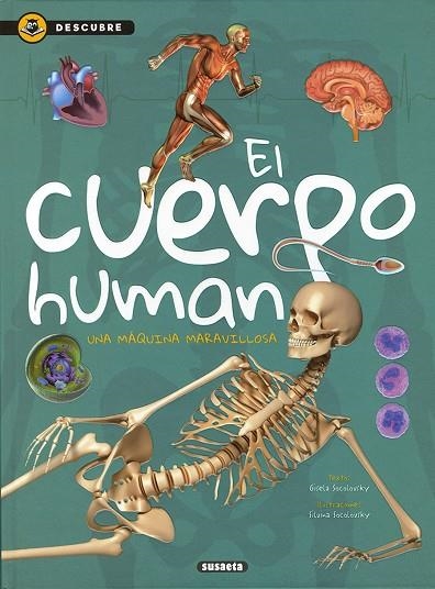 El cuerpo humano | 9788467754285 | Socolovsky, Gisela | Librería Castillón - Comprar libros online Aragón, Barbastro