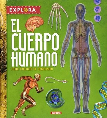 El cuerpo humano | 9788410846791 | Montoro, Jorge | Librería Castillón - Comprar libros online Aragón, Barbastro