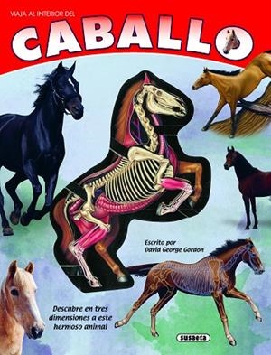 El caballo | 9788411968577 | Gordon, David George | Librería Castillón - Comprar libros online Aragón, Barbastro