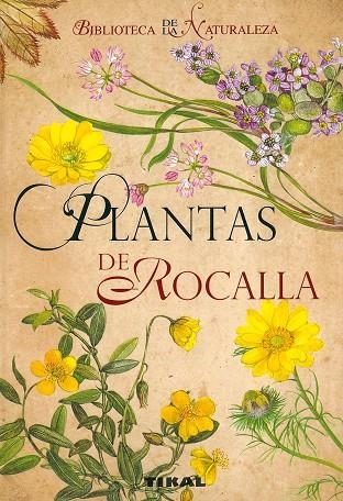 Plantas de rocalla | 9788492678099 | Vodicková, V. | Librería Castillón - Comprar libros online Aragón, Barbastro