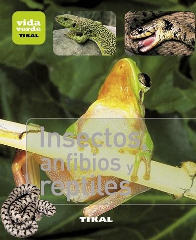 Insectos, anfibios y reptiles | 9788499281377 | Librería Castillón - Comprar libros online Aragón, Barbastro